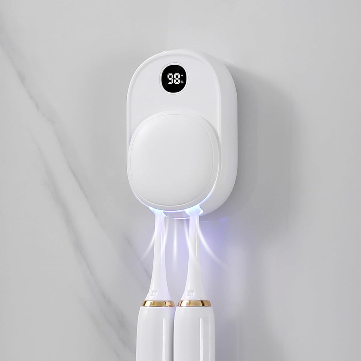 UV toothbrush sanitizer case exterior