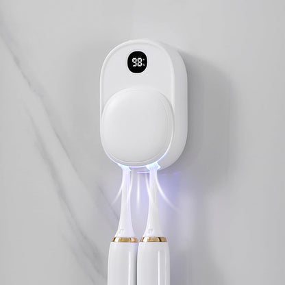 UV toothbrush sanitizer case exterior